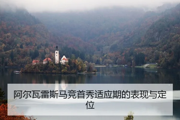 a-er-wa-lei-si-ma-jing-shou-xiu-shi-ying-qi-de-biao-xian-yu-ding-wei-2-956.jpg